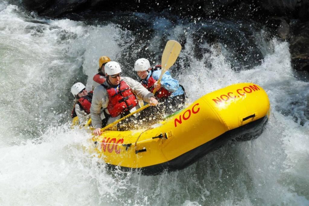 فيلا Honeymoon Getaway In Woods Near Noc And Smoky Mtn Rr مدينة كليرمونت المظهر الخارجي الصورة